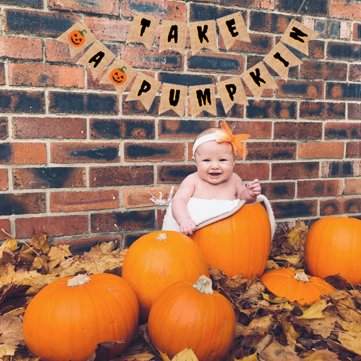 Take a pumpkin Farmhouse banner