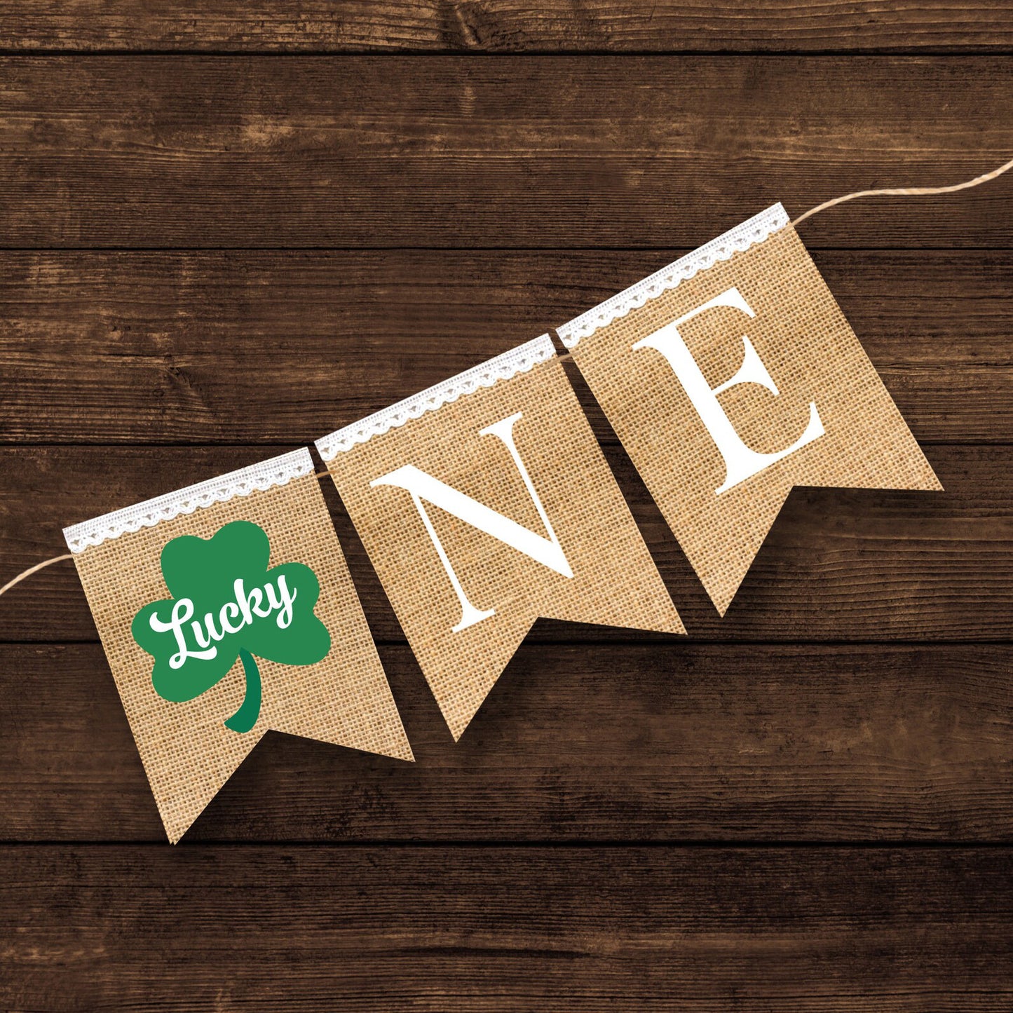 Lucky One St Patricks Day Birthday, Lucky One Banner, Hammrock banner, st Patrick’s day first birthday, 1st birthday, one decorations